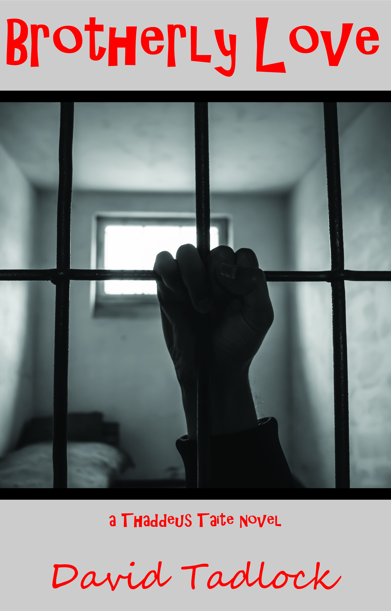 mistaken identity cover2