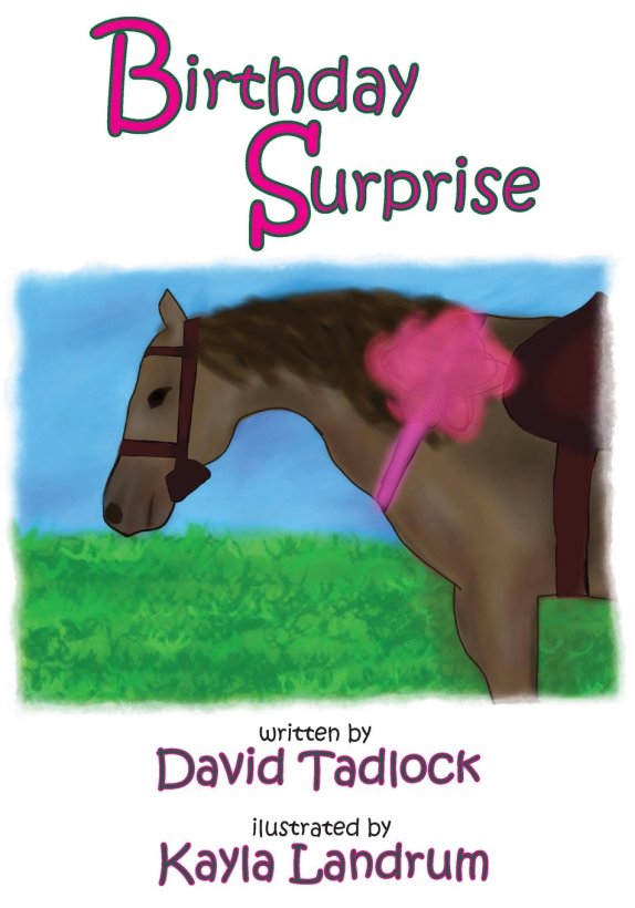 Birthday Surprise Bookcover1